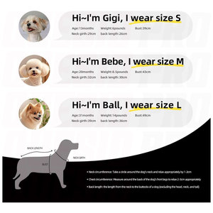 Pull personnalisé pour chien, maillot personnalisé pour animal de compagnie avec photo, nom, texte, logo, t-shirt léger et doux pour chiens et chats, toutes tailles - Product Image 5