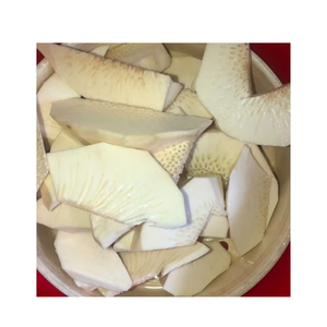 Trozos de Fruta de Pan Tostado Congelados IQF, Fruta Tropical, Proveedor de Vietnam, Venta al por Mayor a Granel, Calidad de Exportación - Product Image 5