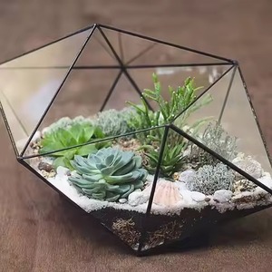 Terrario Decorativo de Metal para Interiores, Macetero de Vidrio, Soporte Geométrico Moderno para Plantas, Adorno para el Hogar - Product Image 6