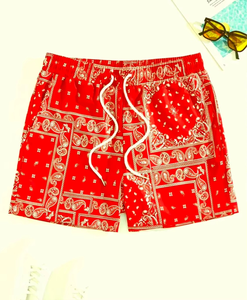 Shorts de sport pour hommes de qualité supérieure, en mesh, imprimés, respirants, décontractés, pour la gym, logo personnalisé, OEM, ODM, vente en gros - Product Image 2