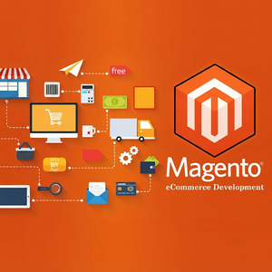 Tienda Magento Personalizada de Élite: Soluciones Estratégicas de Comercio Electrónico que Resaltan Operaciones Fluidas y Máximo Impacto en la Tienda Virtual - Product Image 5