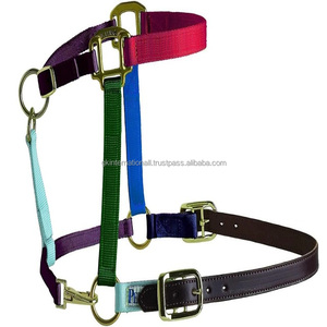Qualité supérieure fabriquée en Inde sur mesure en nylon multicolore licou avec menton réglable à la gorge matériel en laiton - Product Image 5