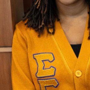 Custom SGRHO <b>Cardigan</b> Sigma Gamma Rho Women's Greek Sorority Embroidered Button Up Knit Sweater Casual Fashion Wholesale Apparel - Product Image 6