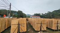 Vietnam Eucalyptus Rotary Cut Veneer Sheets 1270x640mm Natural Wood Grain for Core Plywood Construction Panels-Durable