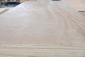 Contrachapado Comercial Moderno con Revestimiento de Madera Dura Mixta (Bintangor/Okume/Pino) y Núcleo de Eucalipto, con Pegamento E2/E1, para Diseño de Apartamentos - Product Image 3