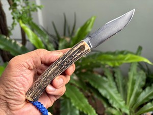Couteau utilitaire à lame en acier, manche en bois de cerf, épaisseur de la lame 0,5 mm, longueur totale 6,7 pouces - Product Image 3