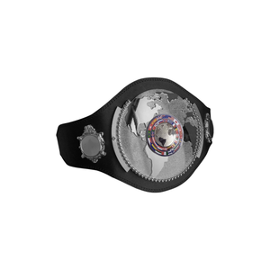 Ceinture de championnat mondial de lutte, design globe argenté, cuir noir, titres personnalisables de luxe - Product Image 1