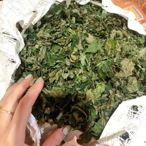 Proveedor de Hoja Amarga Seca de Vietnam, Hoja Amarga Lavada Premium 500g-2lbs, Fabricante OEM de Hoja Amarga ANGLE - Product Image 6