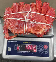 Crabe royal surgelé de qualité supérieure, vente en gros, approvisionnement en vrac, qualité alimentaire, prêt à expédier, exportation