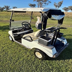 Carro de Golf Homologado para Calle, Nuevo, Gran Oferta, 4 Plazas, 3.5kW, Precio Económico, Fabricante de Carros de Golf - Product Image 6