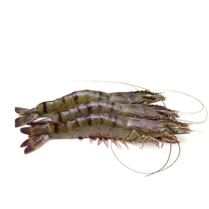 กุ้งแช่แข็งขายส่งยอดนิยม HLSO คุณภาพพรีเมียม จัดส่งจำนวนมาก เกรดอาหาร พร้อมส่งออก - Product Image 2