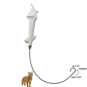 Pratique <span class=keywords><strong>Portable</strong></span> Animaux Flexible Bronchoscope Vidéo Vétérinaire <span class=keywords><strong>Endoscope</strong></span> Jetable pour Chiens Chats Clinique - Product Image 3