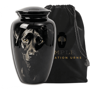 โกศบรรจุอัฐิสัตว์เลี้ยงสำหรับสุนัข ปรับแต่งสีได้ สำหรับอัฐิผู้ใหญ่  วัสดุอะลูมิเนียมเคลือบเงา ขนาด 220 คิวบิกอินช์ เป็นมิตรกับสิ่งแวดล้อม ทนทาน สมจริง - Product Image 1