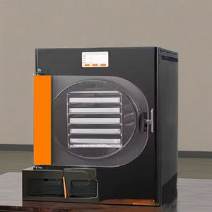 Mini cámara de secado al vacío automática de acero inoxidable para laboratorio, máquina de liofilización para uso comercial y doméstico - Product Image 3