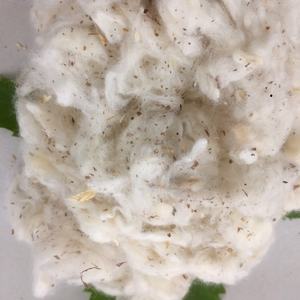 Déchets textiles provenant de l'usine de haute qualité 100% Cotton Comber Noil du Vietnam + 84379007507-Ms. Amy - Product Image 4