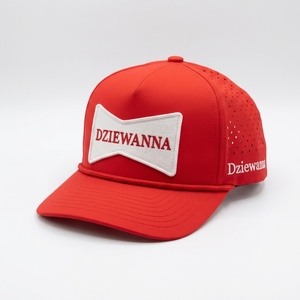 Gorra de Golf de 5 Paneles Personalizada con Parche Tejido, Perforaciones Láser, Visera Curva, Fabricante OEM de Marca Privada - Product Image 2