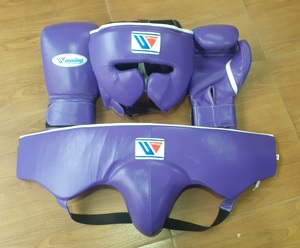 Guantes de Boxeo Personalizados con Cierre de Velcro, Protector de Mejillas, Protector de Cabeza y Protector Inguinal, Guantes de Entrenamiento de Sanda y Kick Boxing, Cuero Vacuno Genuino - Product Image 4