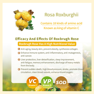 Poudre de Rosa Roxburghii Tratt 100% soluble dans l'eau, extrait de fruit riche en vitamine C pour compléments alimentaires - Product Image 4