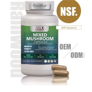 Kapsul Suplemen Jamur Rainwood OEM Service, Ekstrak Jamur Reishi, Kapsul Campuran Jamur - Product Image 1