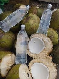 Proveedor de Ingredientes para Bebidas de Agua de Coco Joven Congelada - Product Image 6