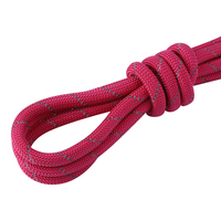 Laisse pour chien en corde de nylon/nylon synthétique doublement tressée, réfléchissante, multicolores, qui brille dans le noir, personnalisable