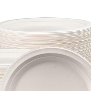 Platos Desechables Biodegradables Hechos en Pakistán, OEM ODM, Ligeros, con Logotipo Personalizado, Venta al por Mayor - Product Image 3