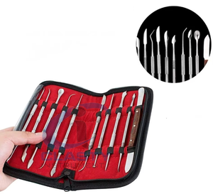 Juego de Instrumentos Quirúrgicos Dentales Profesionales con Empuñadura Moleteada, Herramientas Plateadas para Cirugía Oral, Clase I, Uso Manual - Product Image 2