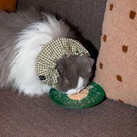 Accessoires pour chats : Collier cache-col élastique à carreaux anti-salissures pour chats persans et Ragdoll