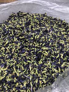 SUPERFOOD Té de Flor de Guisante Mariposa |   Rico en antioxidantes |   Oferta Especial - Product Image 6