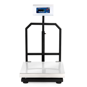 Báscula Digital ACE de Plataforma, Distribuidor Autorizado, 600x600mm, Acero Inoxidable, Capacidad de Carga 300Kg, Precisión 20/50g, 1 Año de Garantía - Product Image 1