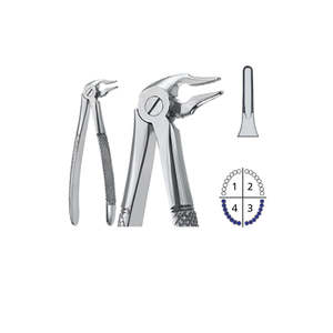 Pinzas de Extracción Harris de Acero Inoxidable de Calidad Premium, Fabricadas Profesionalmente, Agarre Antideslizante para Fragmentos Radiculares, por Dentavex - Product Image 4