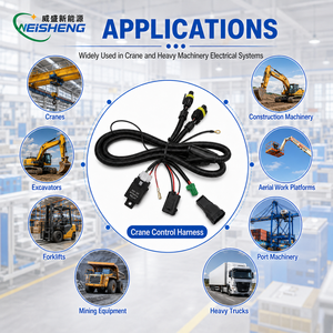 Rangkaian Kabel Kontrol Crane Khusus, Kabel Relay Sensor Tugas Berat, Perakitan OEM - Product Image 2
