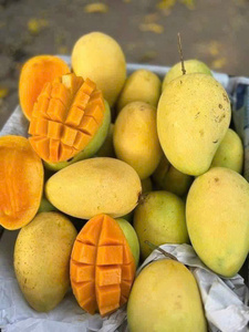 ผลไม้สดจาก Dong thap สำหรับขายส่งทั่วโลก99โกลด์ - Product Image 2