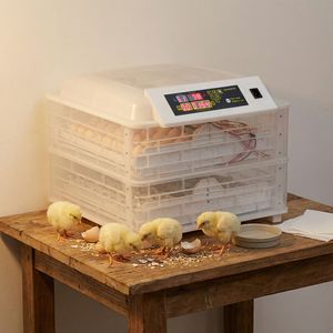 Incubatrice per 112 Uova 2-in-1 con Controllo Digitale Automatico, Nuova per Allevamenti di Polli, Anatre e Uccelli, con Rotazione Automatica, Alimentazione Elettrica - Product Image 4