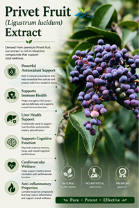 Approvisionnement direct d'usine HGO d'extrait de fruit privé naturel pur (Ligustrum lucidum) (qualité alimentaire) spécification 10:1 - Product Image 2