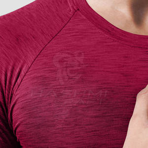 Camiseta Deportiva de Compresión Profesional para Gimnasio, con Tejido Transpirable y Elástico para Entrenamiento Diario - Product Image 5