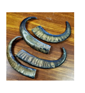 100% Natural Buffalo Decorative Horn Brass Rim Houseware And Hotels Room Wall Decorative Piece Horn <b>Decoration</b> Pieces - Product Image 6
