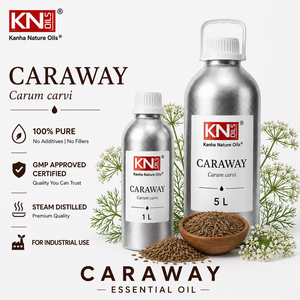 Kanha น้ำมันหอมระเหยเมล็ดยี่หร่าธรรมชาติคุณภาพสูงใช้สำหรับร่างกาย - Product Image 2