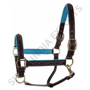 SIE Collier de tête pour cheval en cuir véritable, rembourré et réglable, avec surpiqûres décoratives durables et ferrures en laiton robustes - Product Image 6