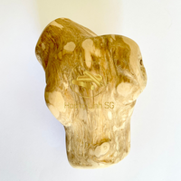Jouet à mâcher pour chiot - Bâtonnet de dentition en bois de café naturel de haute qualité, durable, en forme d'os, pour des soins dentaires longue durée et des friandises à mâcher pour les dents.