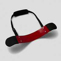 Haltérophilie couleur et Logo personnalisés bras Blaster Gym Fitness entraînement réglable biceps exercice bras Blaster
