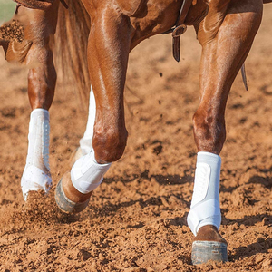 Botas de Nailon para Caballos de Color Blanco Personalizadas, 50x20x40cm, Fáciles de Usar, Protector de Patas para Caballos, Nuevo - Product Image 1