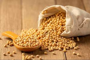 Semillas de Soja Secas de Alta Calidad, Sin GMO, para Alimentación Animal, Proveedor y Exportador Mayorista - Product Image 3