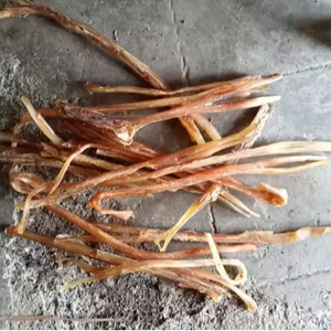 Masticables de Tendón de Búfalo para Perros, Sin Piel, Naturales, para el Cuidado Dental - Product Image 2