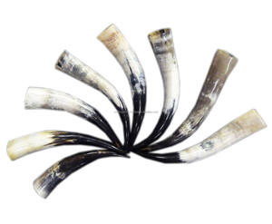 Coudes à boire gravés à motif viking, fabriqués sur mesure, magnifiquement conçus, idéaux pour les fournisseurs de méad et les magasins d'articles vikings - en promotion - Product Image 2