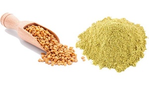Poudre de fenugrec fraîchement moulue, épice naturelle de qualité supérieure, avec un arôme intense et une saveur légèrement amère classique - Product Image 6