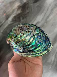 Coquille d'ormeau naturelle polie, matériau artisanal écologique du Vietnam pour la décoration intérieure et la fabrication de bijoux - Product Image 5