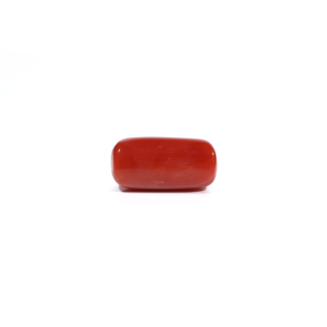 Natural Red Coral Loose Gemstone 7.85 Carat Certified Wholesale Raw - Product Image 2