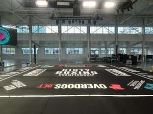 Cubierta de Lona para Ring de Boxeo Personalizada, Cubierta de Suelo de PVC/Vinilo Resistente, Modelo IRSA SPORTS IRSA-254801, Equipo de Gimnasio OEM - Product Image 4