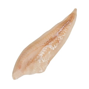 TZ453G Bacalao/Anchoa Entera Orgánica Seca y Congelada (FD), BQF, Multi-Conservada, Baja en Sal, 10kg, 12 Meses de Caducidad, Grado Alimenticio - Product Image 6